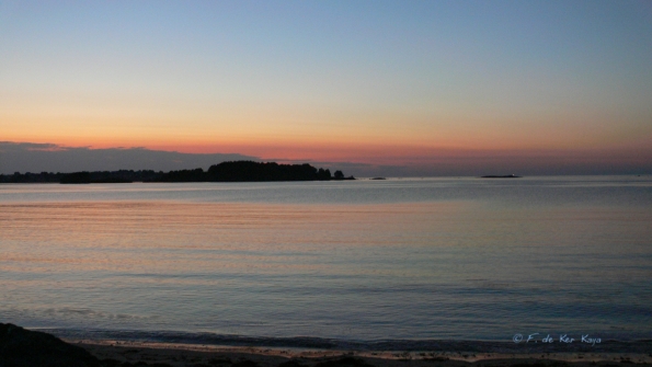 Rose sur granite rose